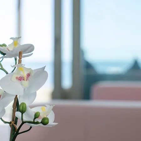 Apartment S' Estanyol Mar